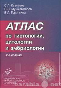 Продам: Атлас по гистологии цитологии эмбриологи