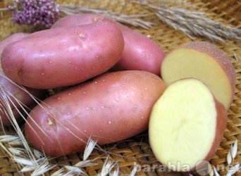 Продам: Семенной картофель более 50 сортов