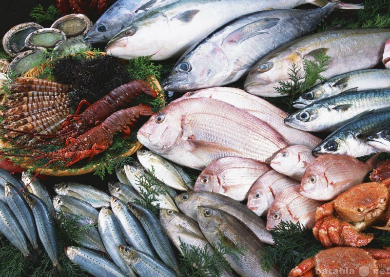 Куплю: Куплю Рыбу морскую у рыбаков