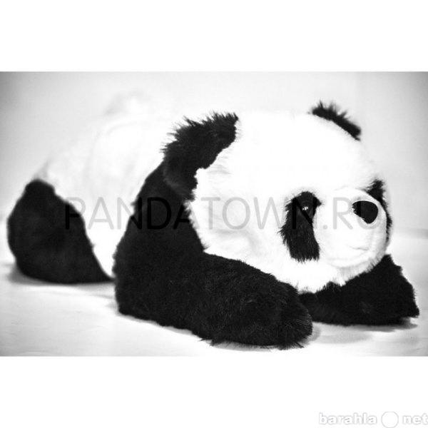 Продам: Большая плюшевая игрушка панда