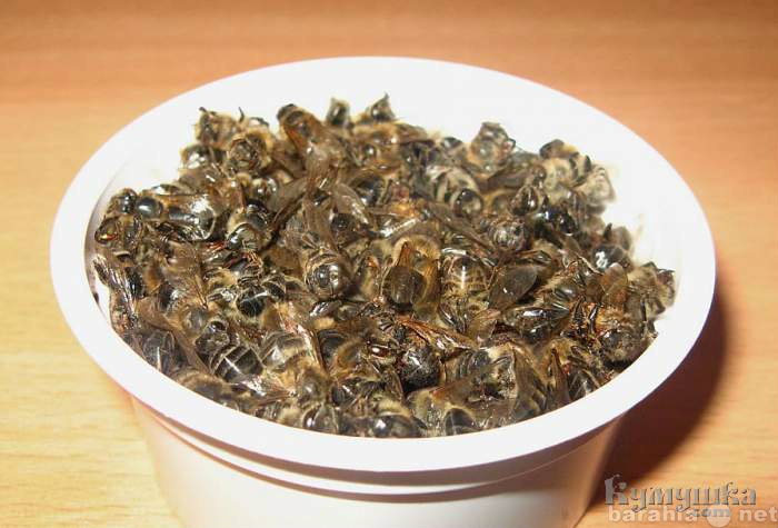Продам: продам подмор пчёл