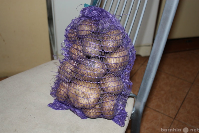 Продам: Картофель с доставкой на дом Уфа