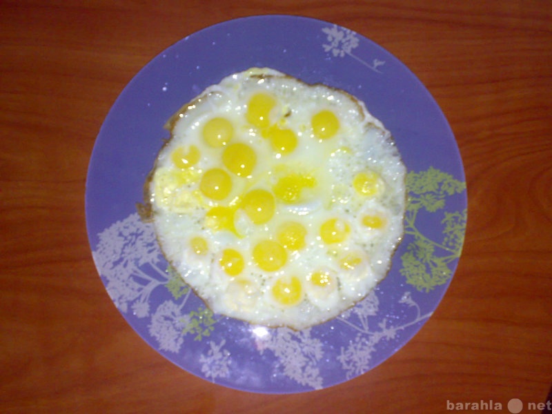Продам: перепелиное яйцо