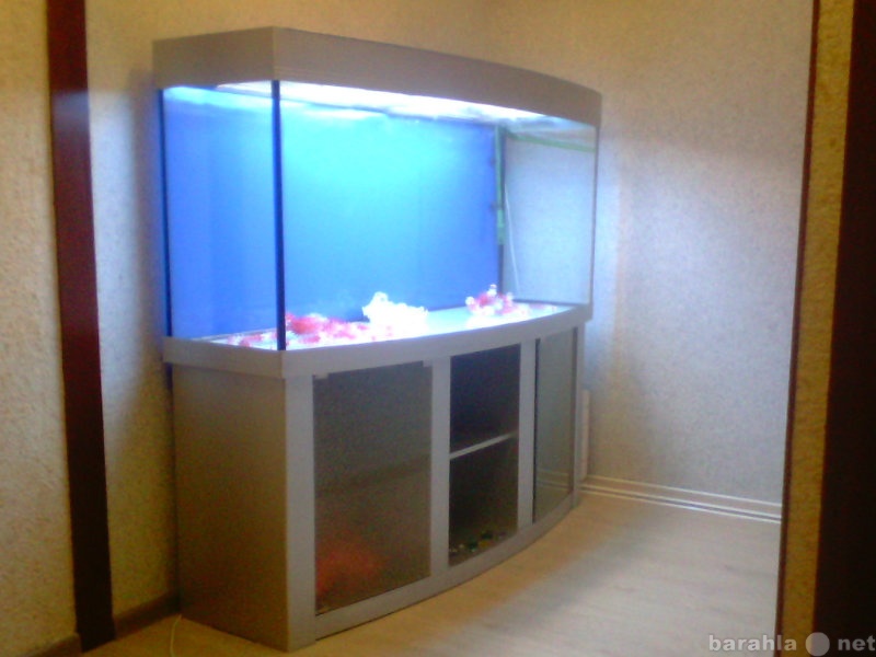 Продам: Панорамный аквариум 500 л.