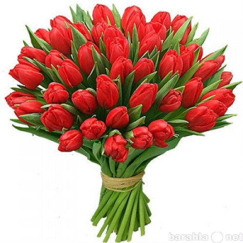 Продам: Букет тюльпан - 300 руб