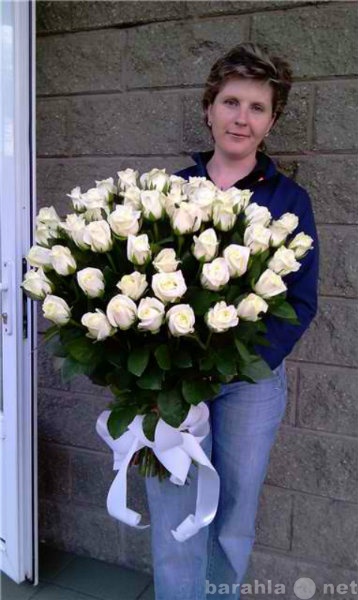 Продам: Купить белые розы в Липецке