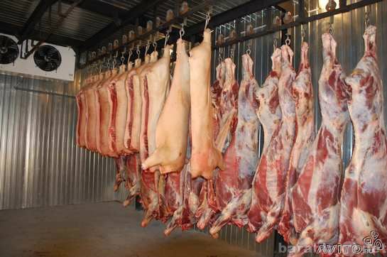 Продам: Свинина и говядина оптом
