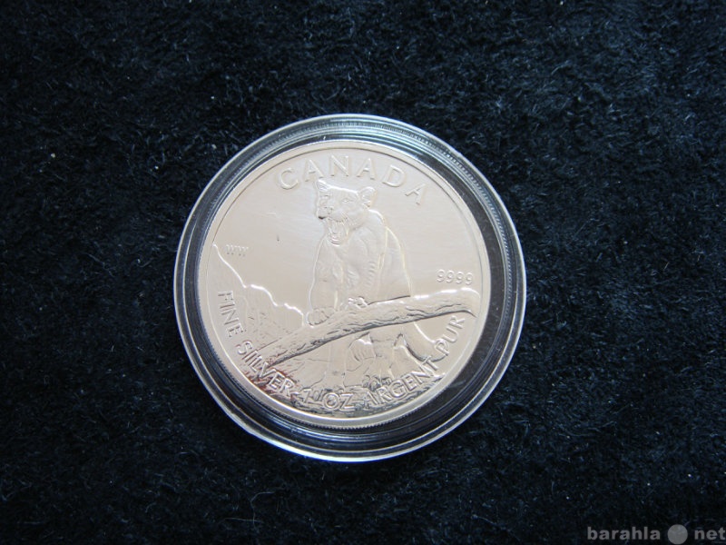 Продам: серебряная монета Канады (1)