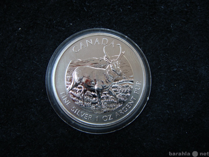 Продам: серебряная монета Канады (2)
