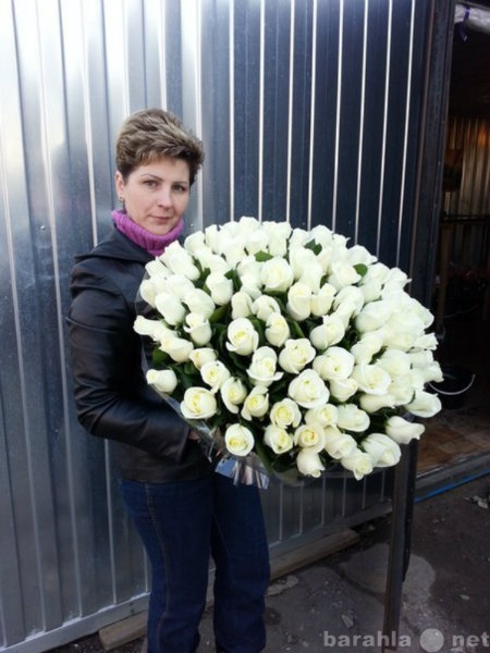 Продам: Купить розы в Липецке