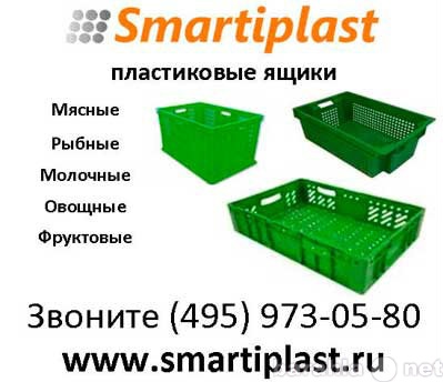Продам: Пищевые ящики пластиковые пищевые в Моск