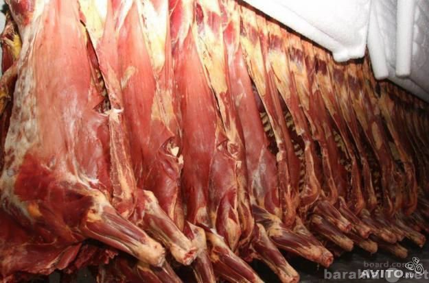 Продам: Продам мясо оптом(свинина и говядина).