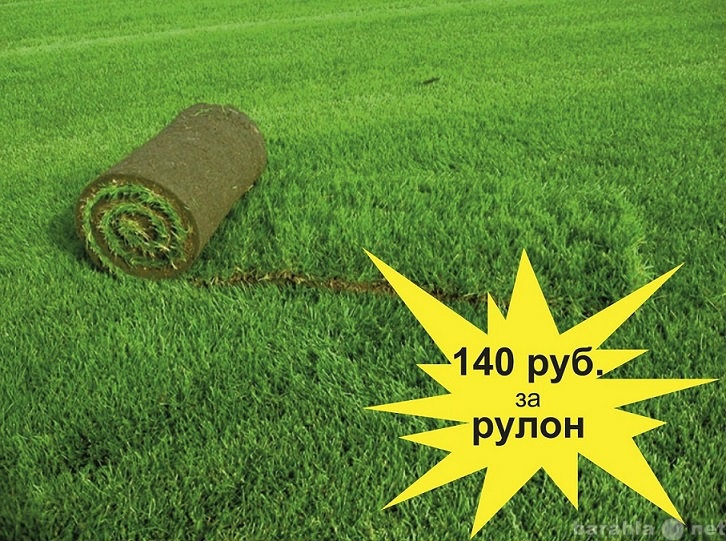 Продам: Рулонный газон