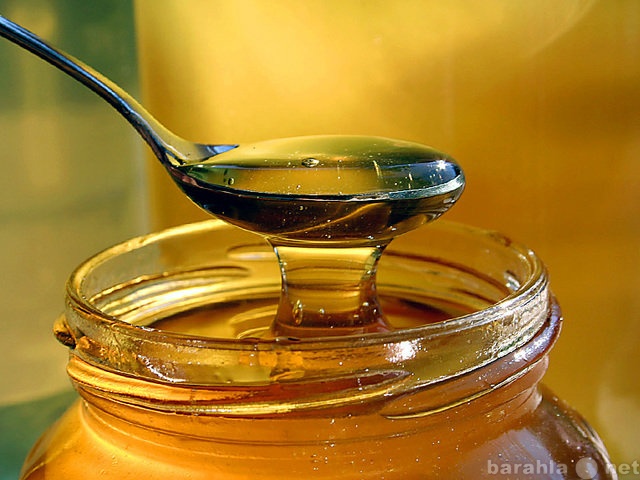 Продам: свежий мёд 2013 года