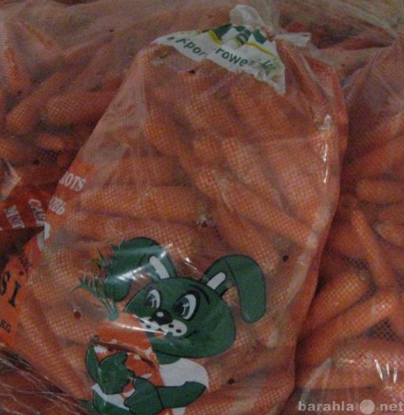 Продам: Морковь