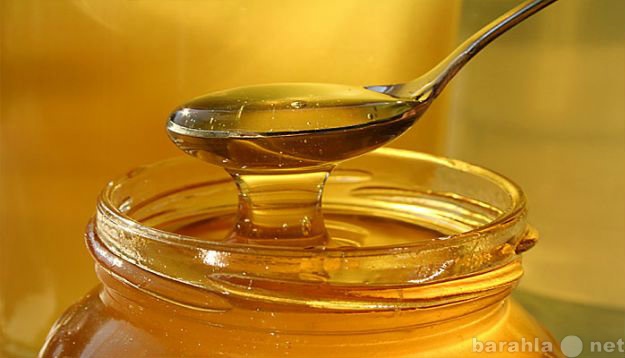 Продам: Цветочный мед. Урожай 2013 года