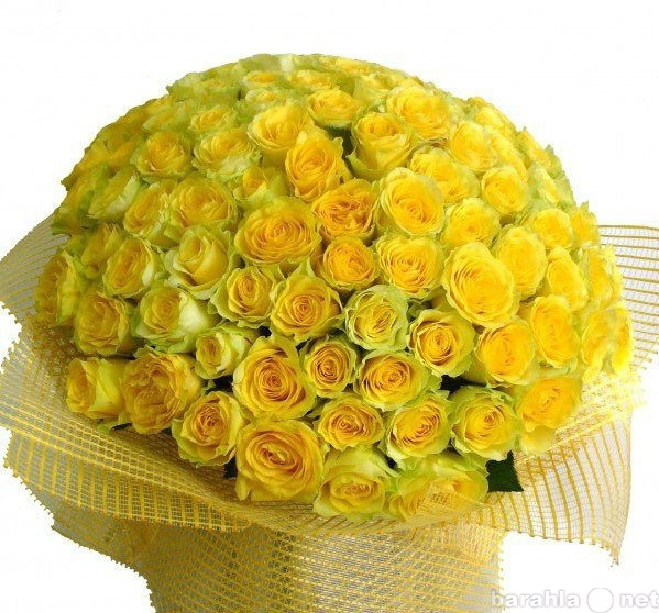 Продам: Желтая роза