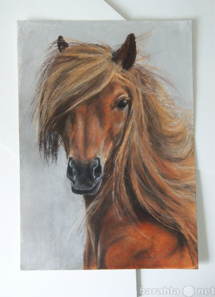 Продам: Картина пастелью "Дикая лошадь&quot