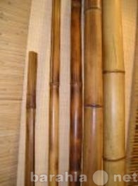 Продам: Бамбуковый ствол
