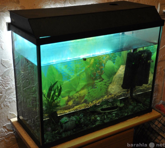 Продам: аквариум 50 л. с комплектом