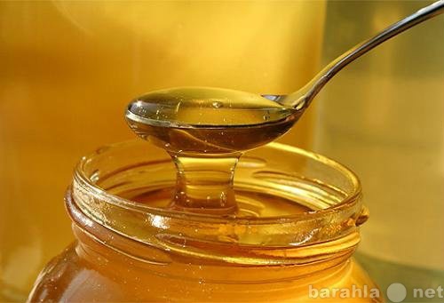 Продам: Липово-цветочный мед