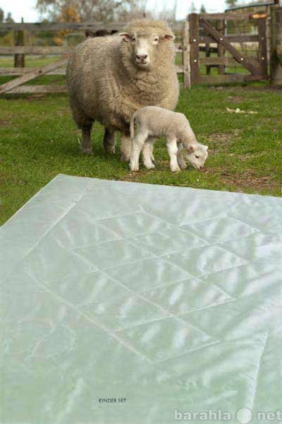 Продам: одеяло из натуральной овечьи шерсти
