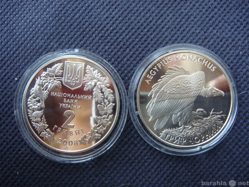 Продам: монету Украины (46), Гриф черный