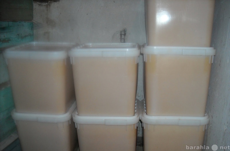 Продам: мед подсолнечника с примесью разнотравия