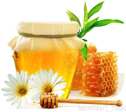 Продам: Продам мёд Липово-Кипрейный 250 рублей
