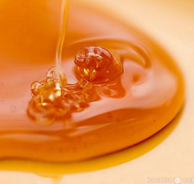 Продам: Свежий ароматный мед с собственной пасек