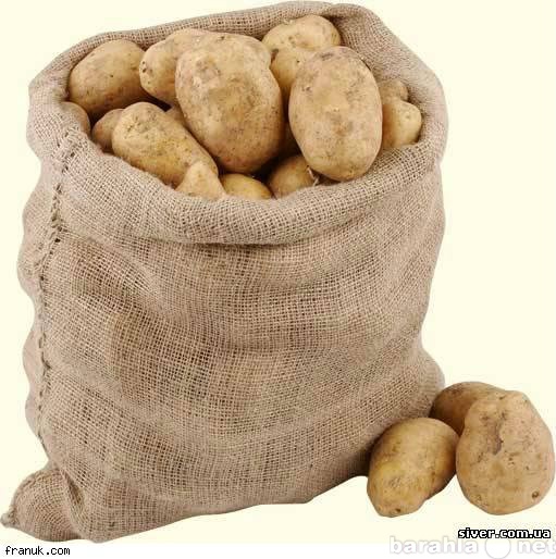 Продам: Свежий картофель