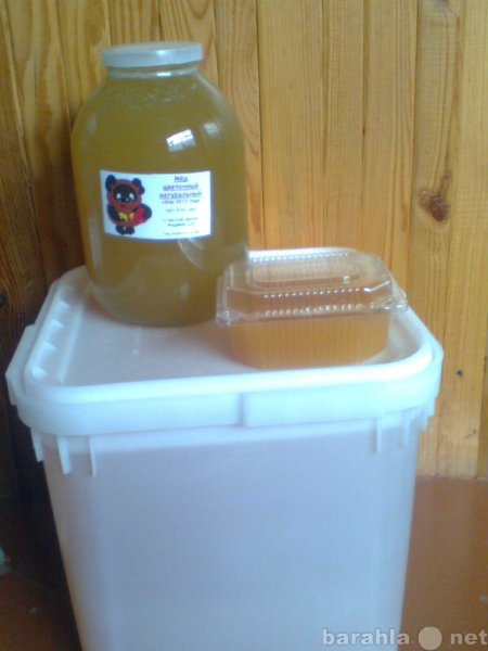 Продам: Мёд цветочный натуральный 2013 года