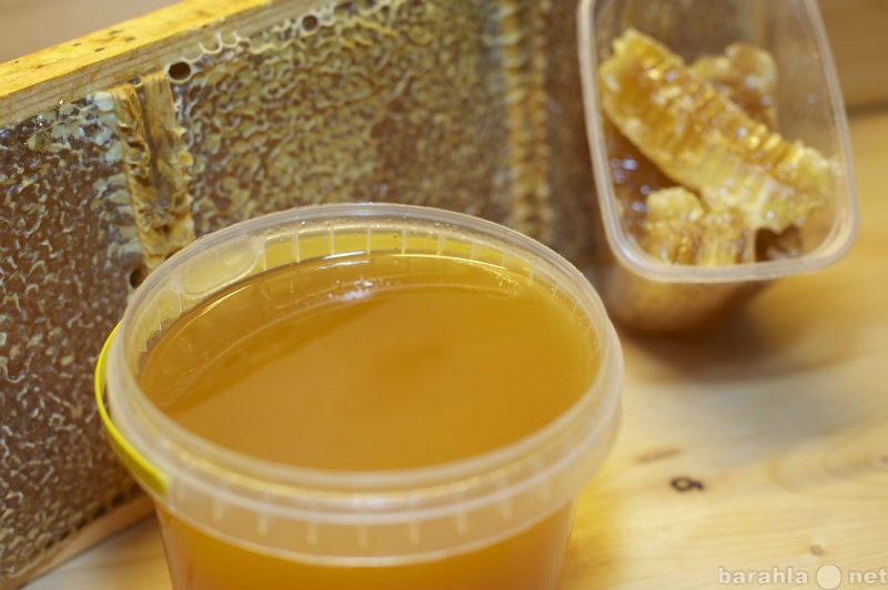 Продам: Мёд и другие продукты пчеловодства