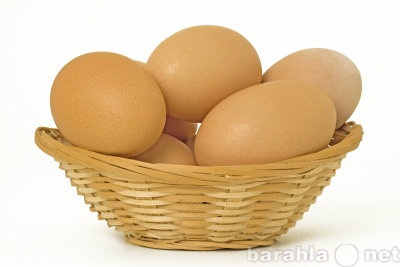 Продам: Яйцо куриное