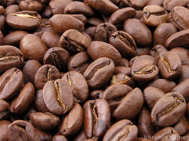 Продам: Кофе зерно крупный опт