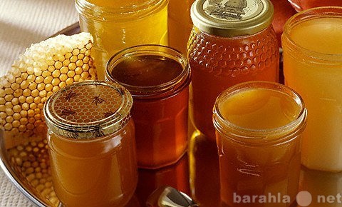 Продам: Свежий мёд 2013 года