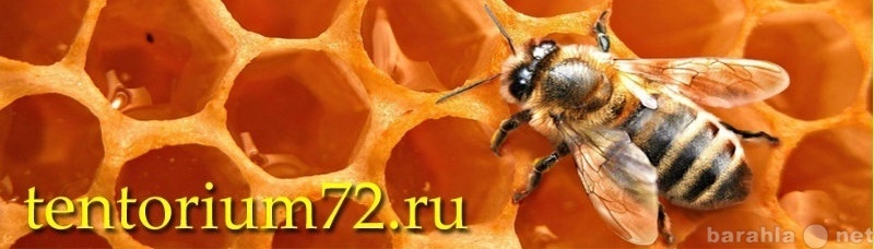 Продам: Продукты пчеловодства