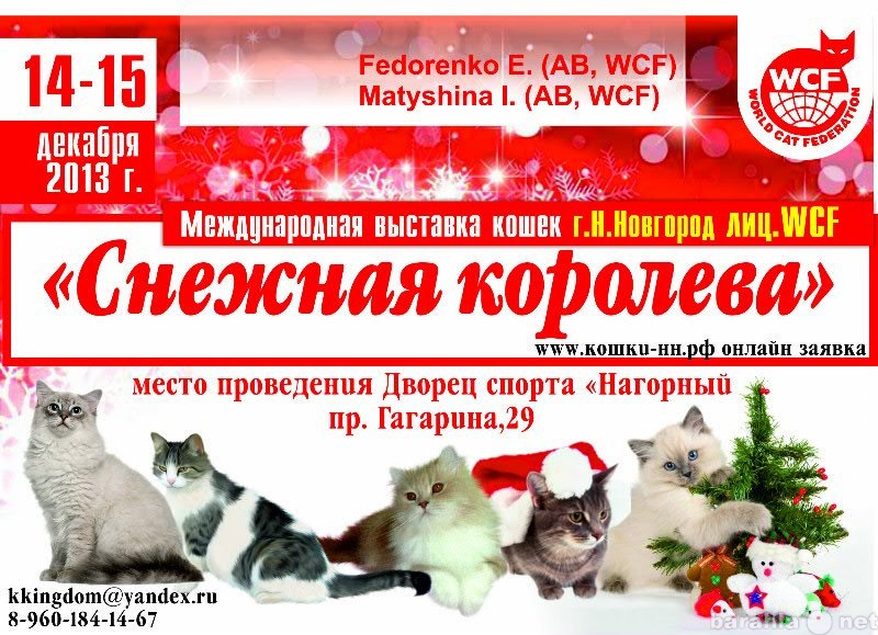 Продам: 14-15 декабря выставка кошек!