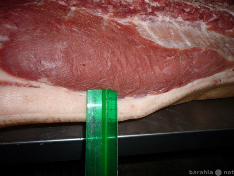 Продам: Свинина в полутушах (вес п/т 42-47 кг)