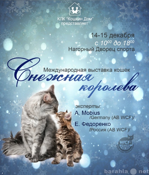 Продам: 14-15 декабря 13г.  выставка кошек!