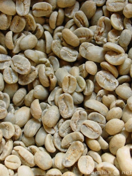 Продам: Зеленый кофе Никарагуа для похудения