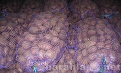 Продам: Продаём картошки оптом в Хабаровске с до