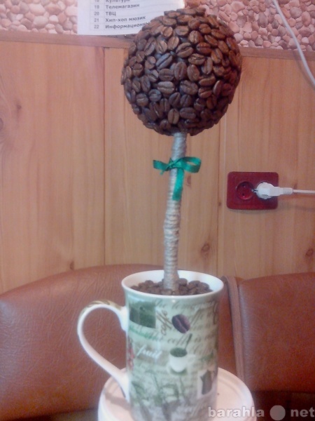 Продам: кофейное дерево