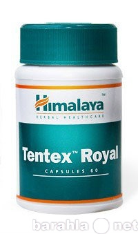 Продам: Тентекс РОЙЯЛ 10 капс. (Himalaya Tentex