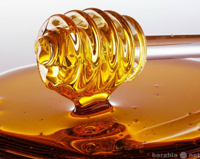 Продам: Продаю высококачественный мед