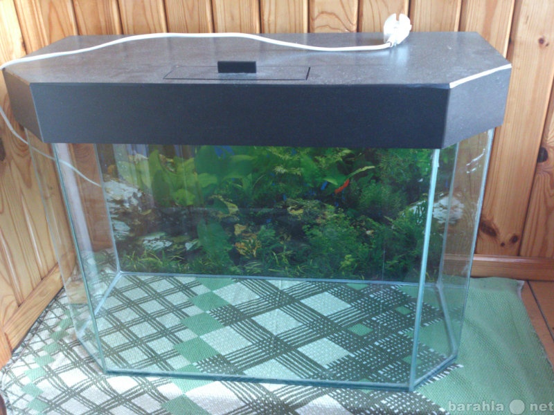 Продам: Панорамный аквариум на 50л.с освещением