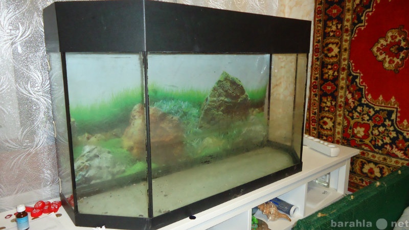 Продам: аквариум 150л