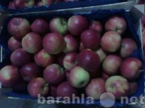 Продам: Яблоки оптом из Молдавии
