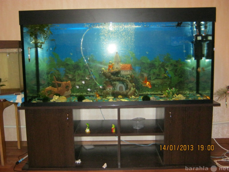 Продам: аквариум на 400литров