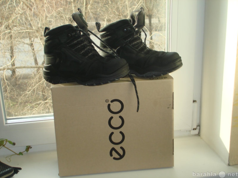 Продам: Зимние ботинки Ecco.